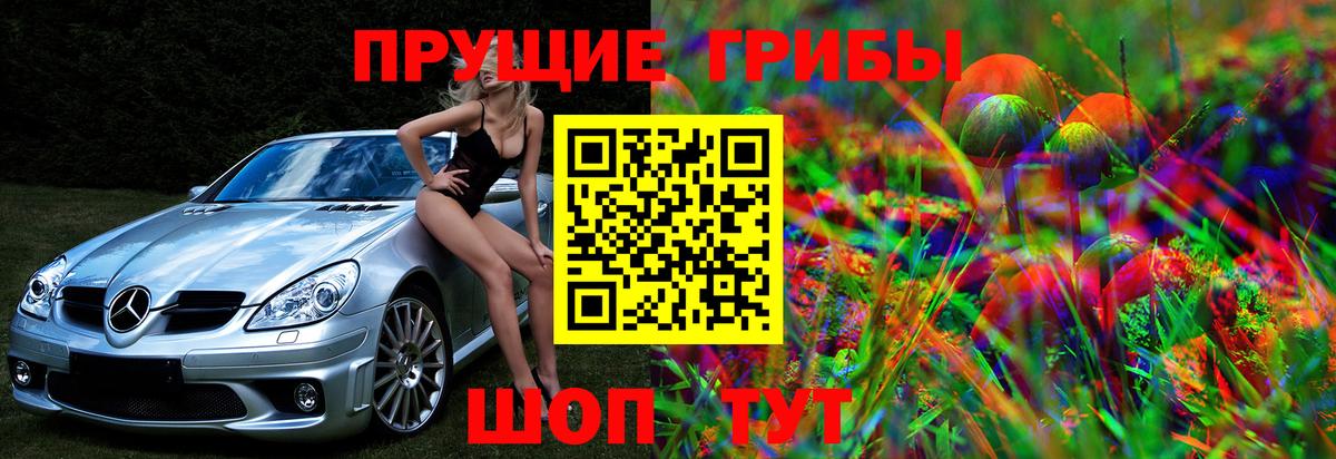 Псилоцибиновые грибы Psilocybine cubensis  Вход с VPN  Торжок 